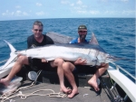 homepage brownymarlin