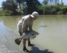 homepage cahills-crossing-july-2013-017-2